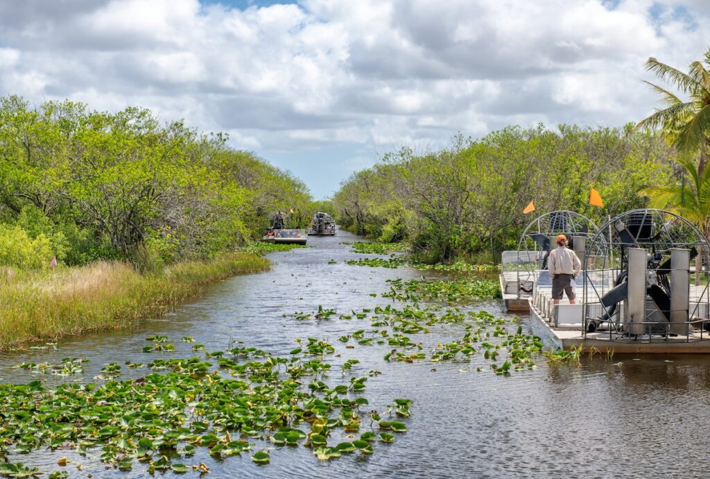 Airboats tours in Everglades National Park, Florida.