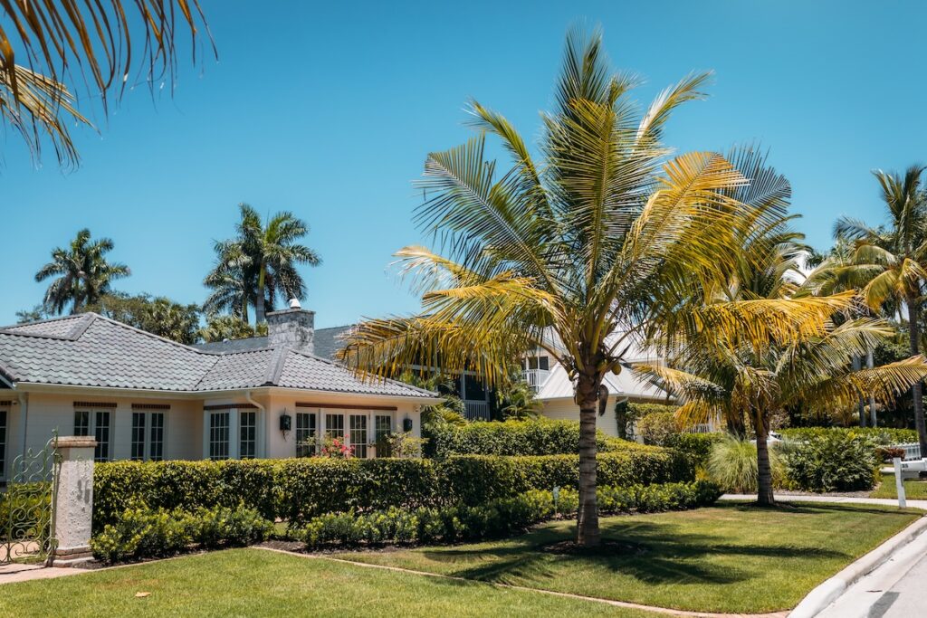 Nice house in topical climate with palm trees